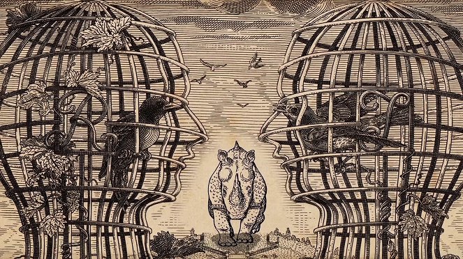 Albrecht Dürer rinocérosza - Z filmu