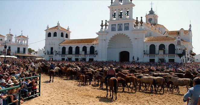 Magic of the Wild Horses - Photos