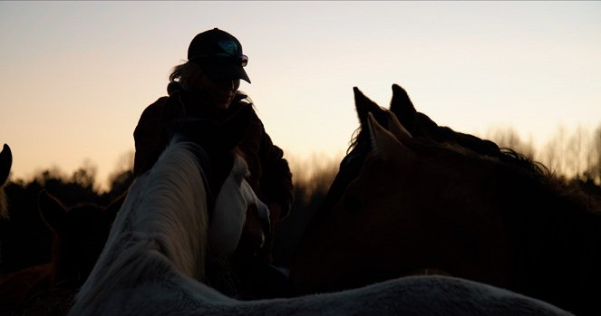 Magic of the Wild Horses - Photos