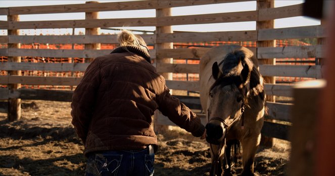 Magic of the Wild Horses - Photos