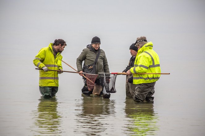 The Hunt for Baltic Gold - Photos