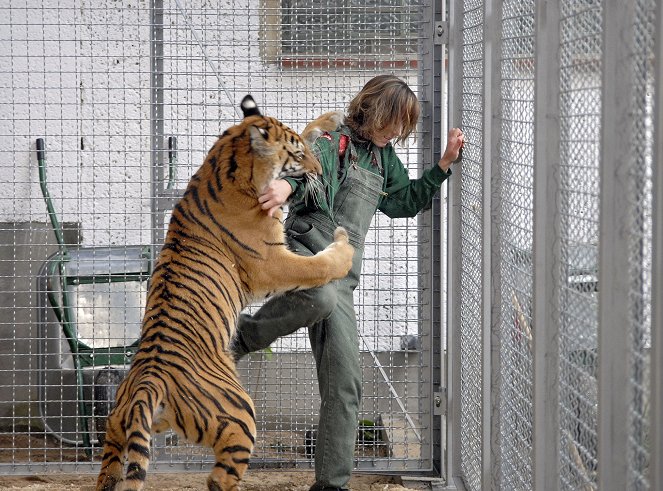 Moje máma veterinářka - Série 2 - S tygrem nejsou žerty - Z filmu