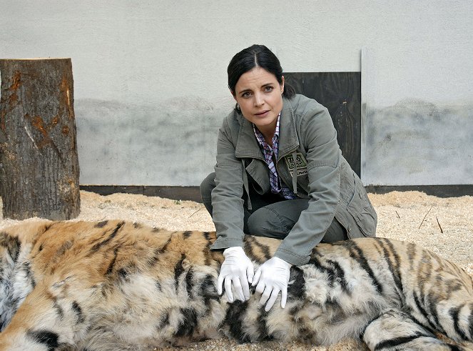 Moje máma veterinářka - Série 2 - S tygrem nejsou žerty - Z filmu