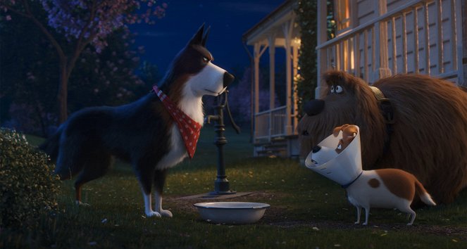 Mascotas 2 - De la película