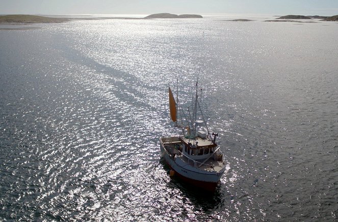 Paradis naturels retrouvés - Norvège, l’île aux canards - Van film