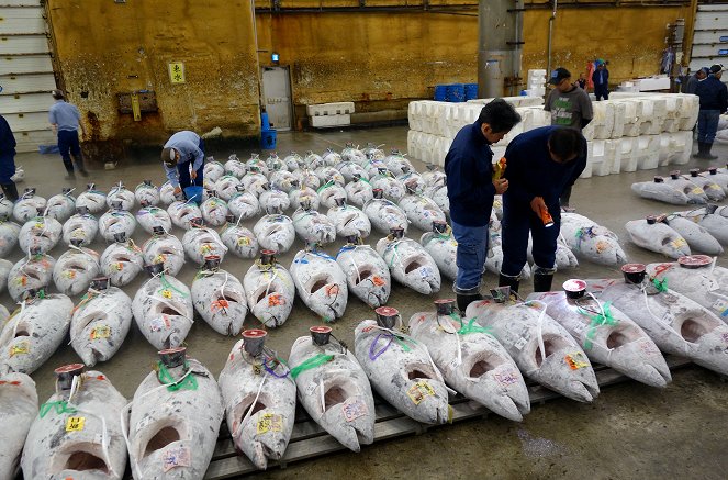 Thunfisch auf Tour - Tokios Fischmarkt zieht um - Z filmu