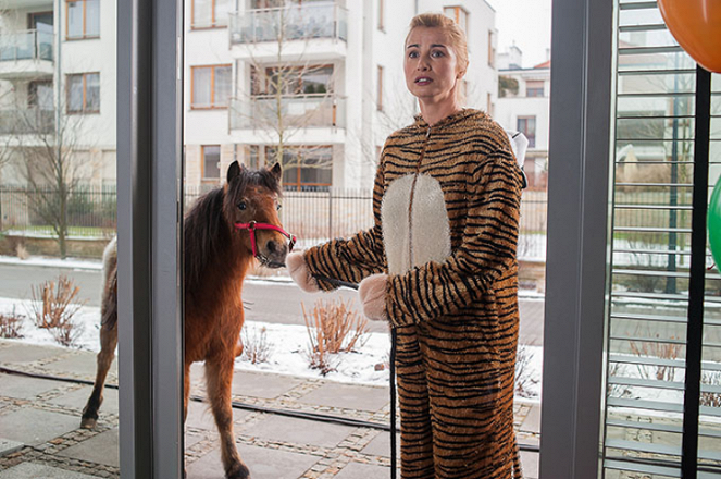 Nie rób scen - Lew który lubił tylko pomidory - Photos - Joanna Brodzik