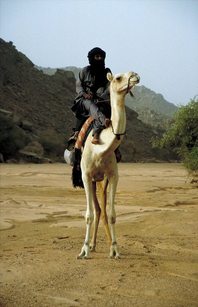 Ässhäk - Geschichten aus der Sahara - Film