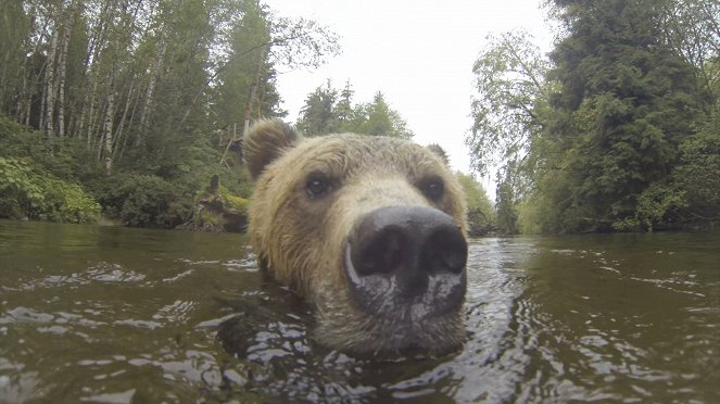 Wild Tube - Photos