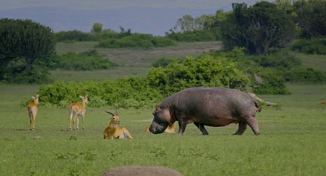 Rovník: Rovnoběžka života - Z filmu