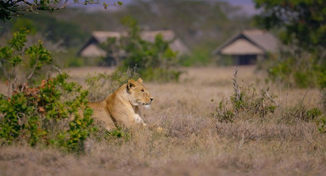 Equator 360: The Line of Life - Do filme