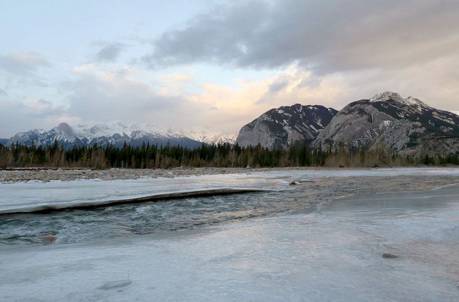 Cougar: On the Trail of the Ghost Cat - Photos