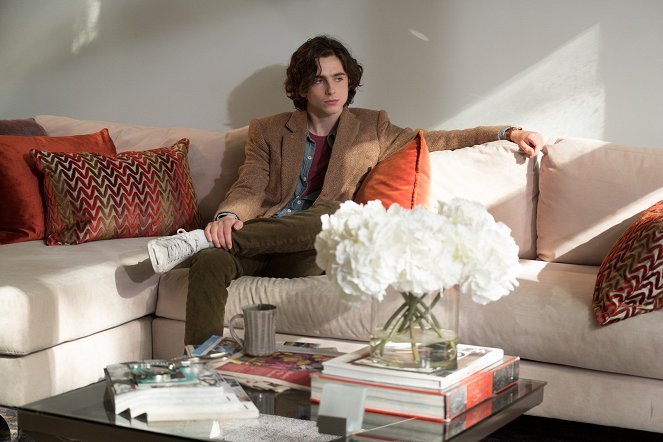 Daždivý deň v New Yorku - Z filmu - Timothée Chalamet