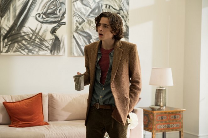 W deszczowy dzień w Nowym Jorku - Z filmu - Timothée Chalamet