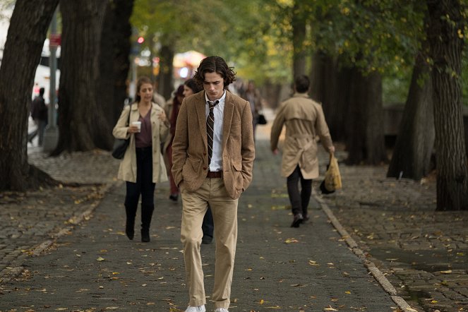 A Rainy Day in New York - Filmfotos - Timothée Chalamet