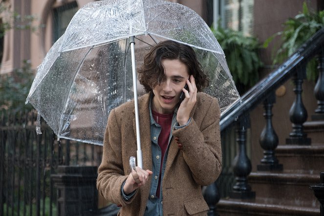 W deszczowy dzień w Nowym Jorku - Z filmu - Timothée Chalamet