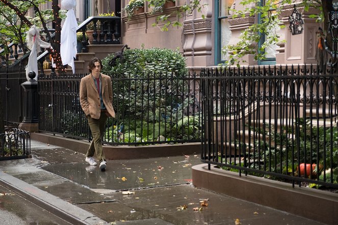 W deszczowy dzień w Nowym Jorku - Z filmu - Timothée Chalamet