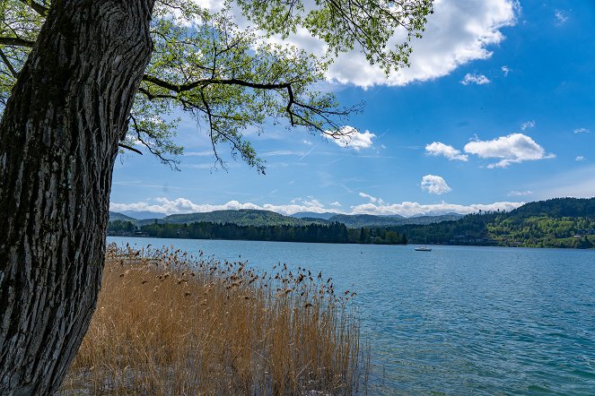 Seen-Sucht - Seen-Sucht nach heiler Welt – Die Kärntner Seen - Filmfotos