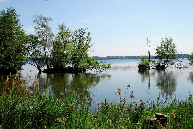 Seen-Sucht - Seen-Sucht nach Weite – Die Mecklenburgische Seenplatte - Do filme