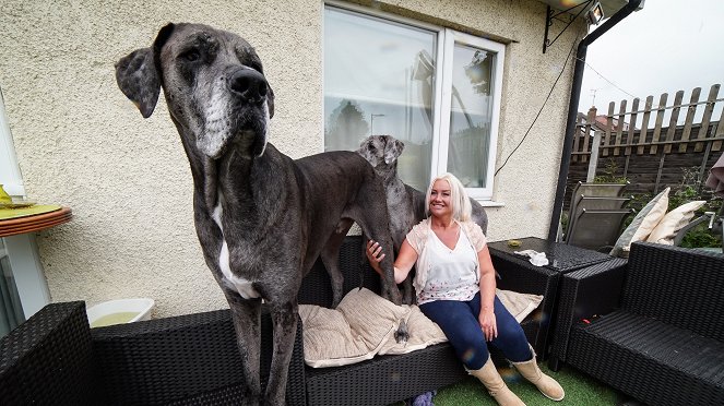 Maailman suurin koira - Kuvat elokuvasta