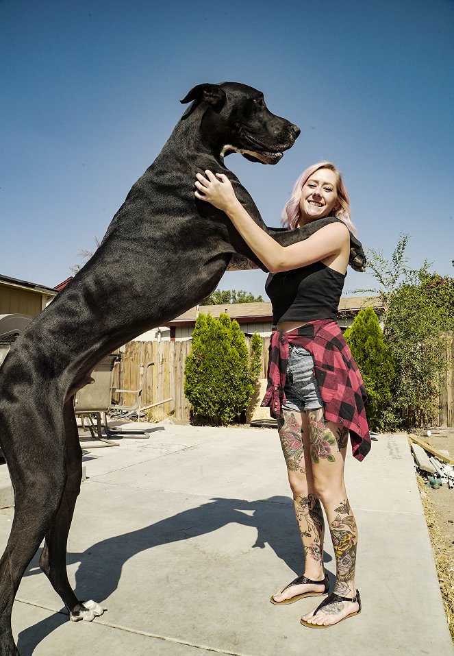 Maailman suurin koira - Kuvat elokuvasta