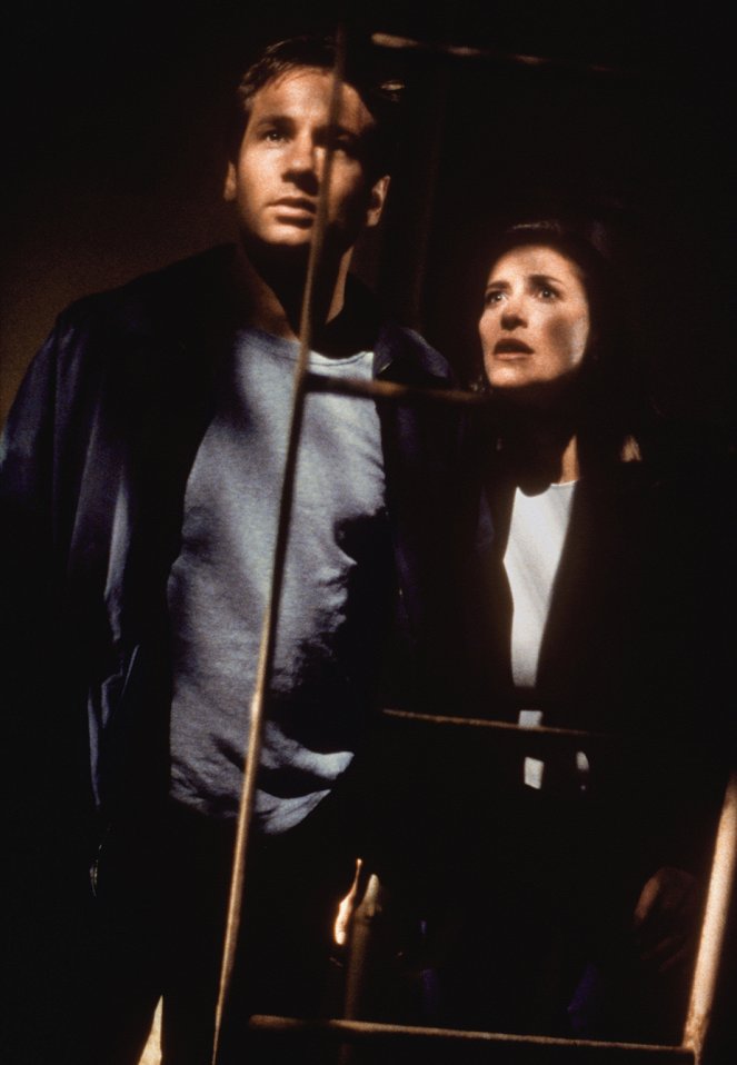 The X-Files - Le Commencement - Film - David Duchovny, Mimi Rogers