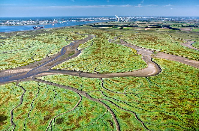 Holland, natuur in de delta - Z filmu