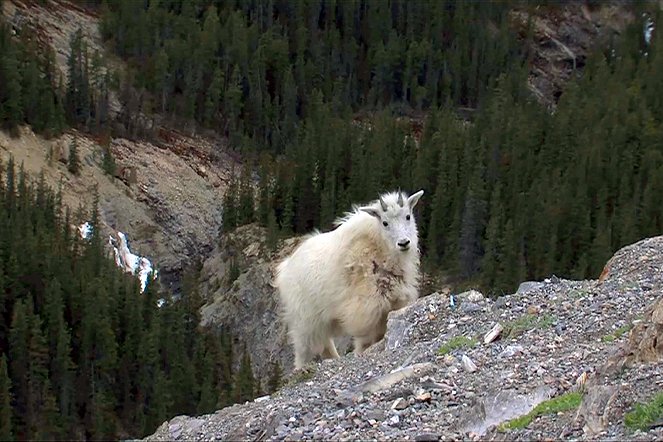 Kanadas Nationalparks - Van film