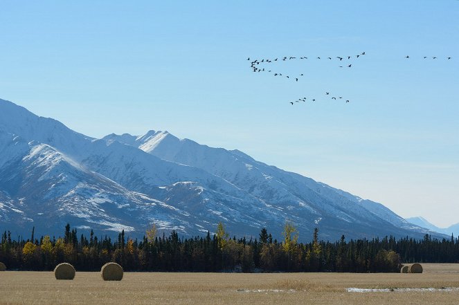 Vad vidékek - Alaszka - Winter - Filmfotók
