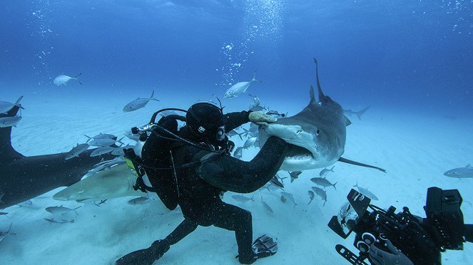 Man vs. Shark - Do filme