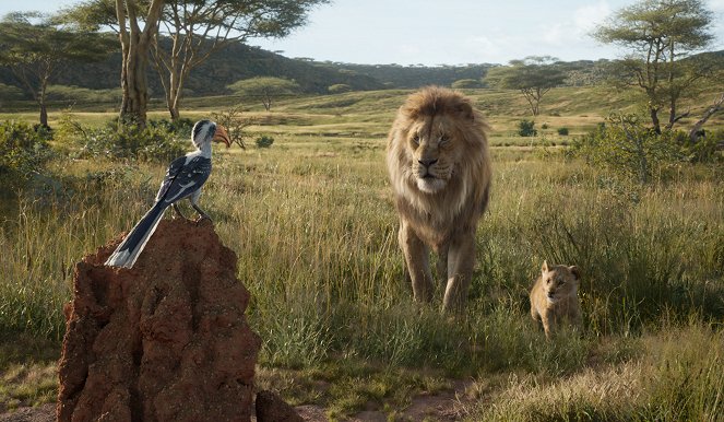 The Lion King - Van film