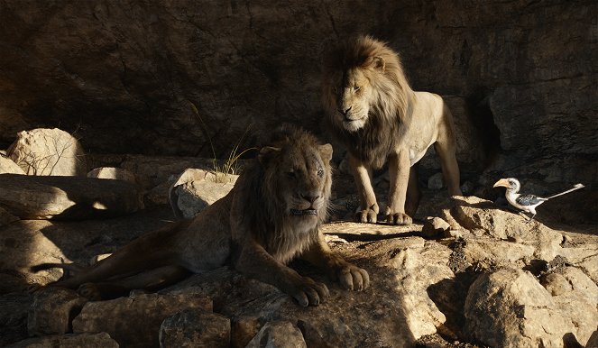 The Lion King - Van film
