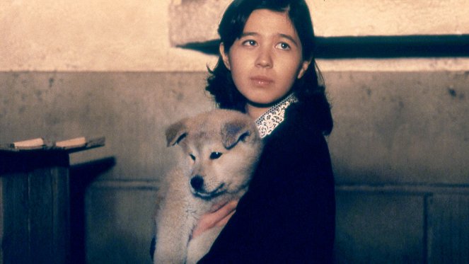 Hachi-ko: Ein Hundeleben - Filmfotos