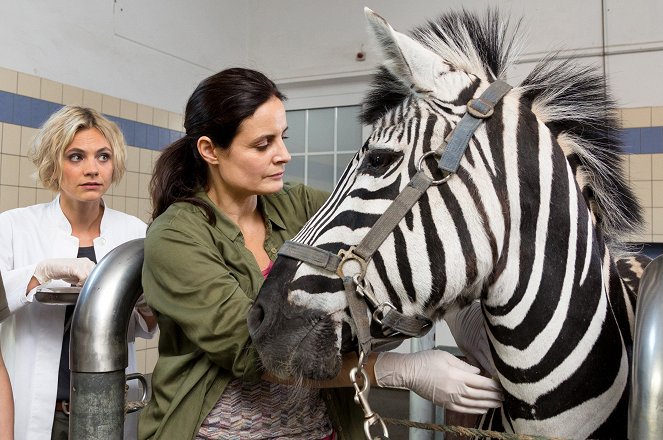 Moja mama veterinárka - Nicht spurlos - Z filmu