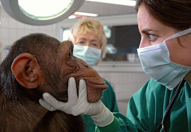 Moja mama veterinárka - Die Erbschaft - Z filmu