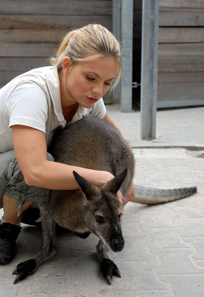 Tierärztin Dr. Mertens - Das boxende Känguru - Photos