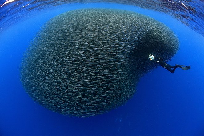 Life in the Blue - Filmfotók