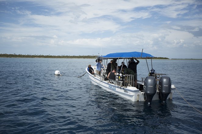 Cuba's Secret Shark Lair - Do filme