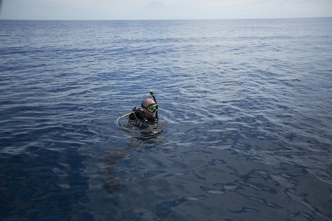 Cuba's Secret Shark Lair - Photos
