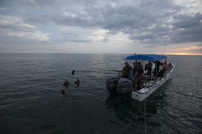 Cuba's Secret Shark Lair - Photos