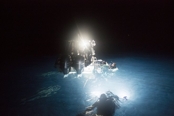 Cuba's Secret Shark Lair - De la película