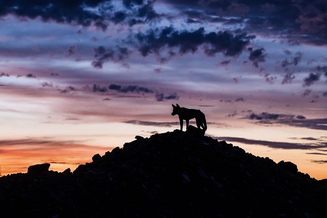 Australien – Magische Tierwelt - Filmfotos