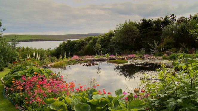 Britain's Best Back Gardens - Photos
