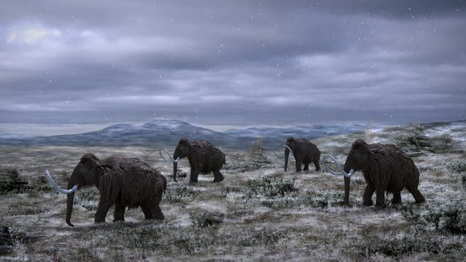 Lost Beasts of the Ice Age - Van film