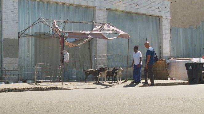 Az utcai állatorvos - Filmfotók