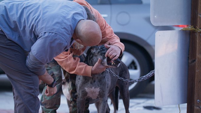 Az utcai állatorvos - Filmfotók