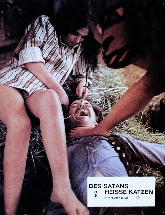 Des Satans heiße Katzen - Lobbykarten - Russ Tamblyn