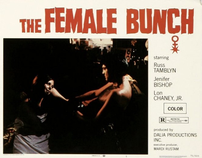 The Female Bunch - Fotosky