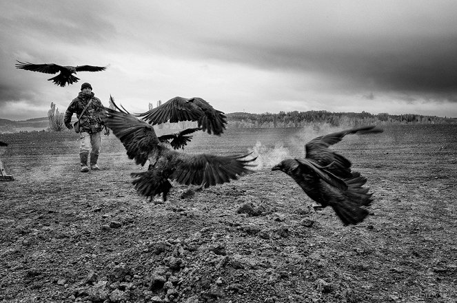 The Painted Bird - Making of