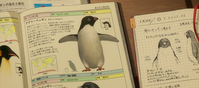Penguin Highway - Z filmu